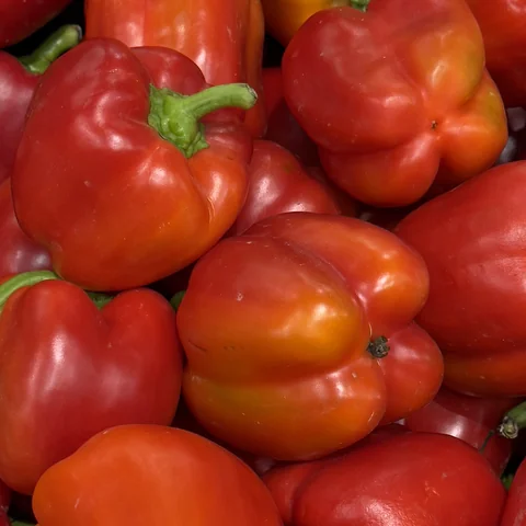 Перец болгарский красный кубовидный (мясистый)