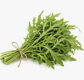 Руккола свежая пряная (дикая)