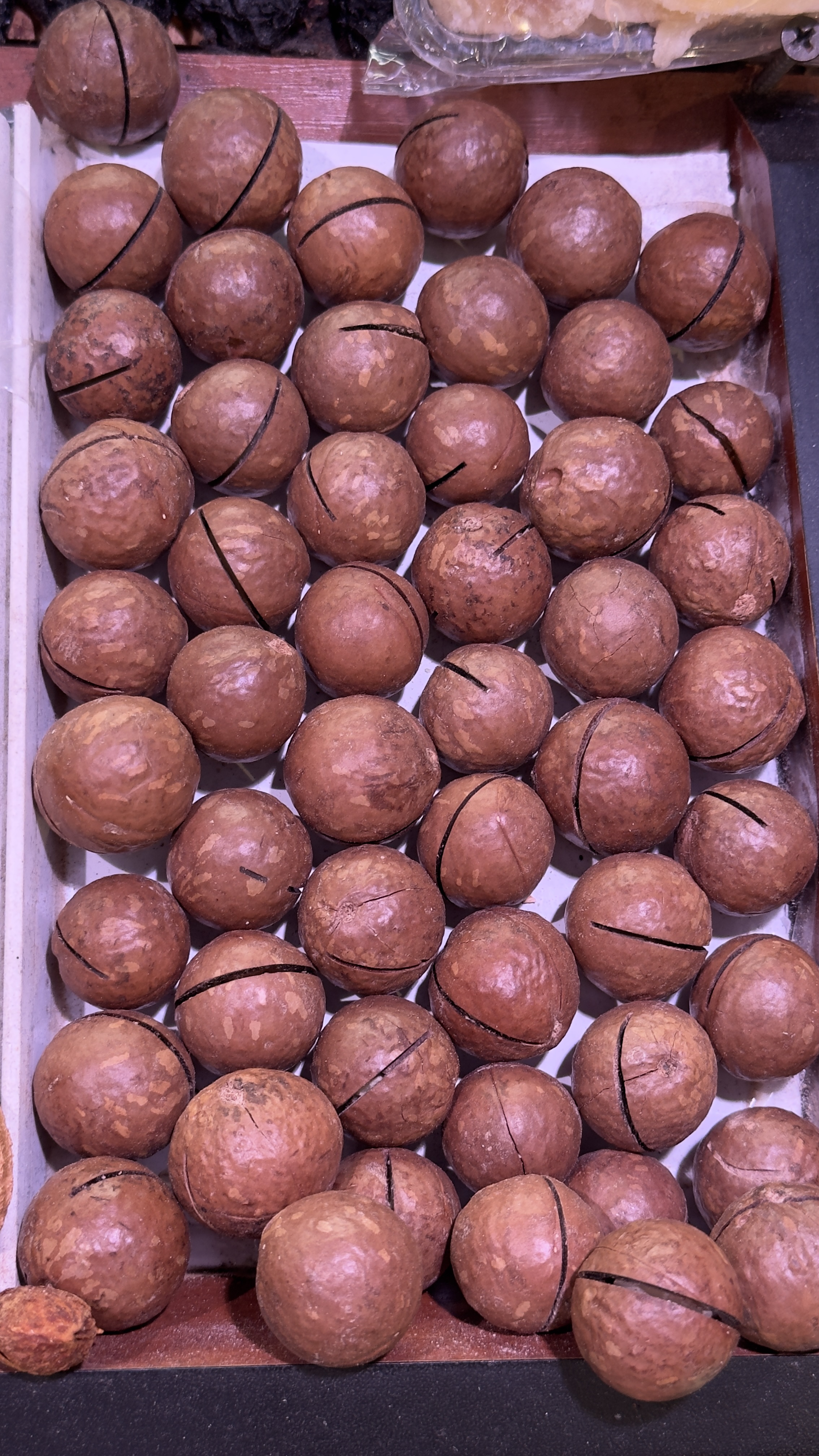 Орех Макадамия в скорлупе (с ключиком в комплекте)